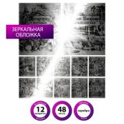 Тетради предметные, КОМПЛЕКТ 12 ПРЕДМЕТОВ, «SILVER», 48 листов, с серебряной обложкой, BRAUBERG