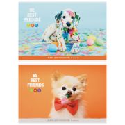 Альбом для рисования 08л., А4, на скрепке ArtSpace «Питомцы. Bright friends», эконом