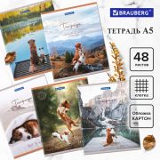 Тетрадь А5 48 л. BRAUBERG скоба, клетка, обложка картон, «Best Friends» (микс в спайке)
