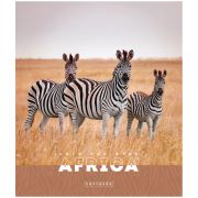 Тетрадь 96л., А5, клетка ArtSpace «Животные. Nature of Africa», суперэконом