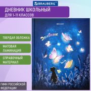 Дневник МП 1-11 класс 48 л., твердый, BRAUBERG, глянцевая ламинация, с подсказом, «Sweet Dreams»