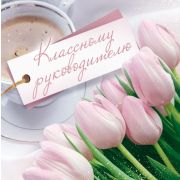 Бирка «Классному руководителю» (компл.=20 шт)