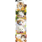 Закладки Кошки