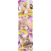 Закладки Кошки