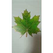 29,828,00 Без названия «Кленовый лист» (компл.=20 шт)