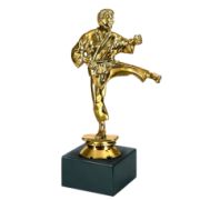 Фигура_каратэ