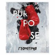 Тетрадь предметная «SPORT CLUB» 48 л., обложка картон, ГЕОМЕТРИЯ, клетка, подсказ, BRAUBERG, 404799