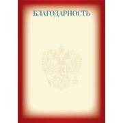 Благодарность эконом с госсимволикой