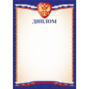 Диплом эконом с госсимволикой
