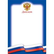 Диплом эконом с госсимволикой