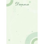 Диплом стандарт