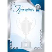 Грамота стандарт спортивная II место без госсимволики