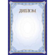 Диплом эконом без госсимволики