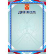 Диплом стандарт с госсимволикой