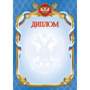 Диплом стандарт с госсимволикой