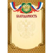 Благодарность стандарт с госсимволикой
