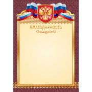 Благодарность стандарт с госсимволикой