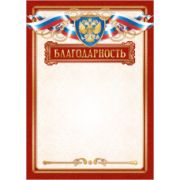 Благодарность эконом с госсимволикой