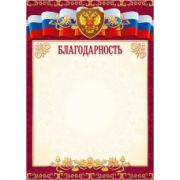 Благодарность эконом с госсимволикой